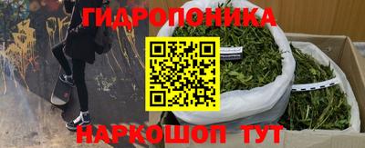 сатива Кизляр