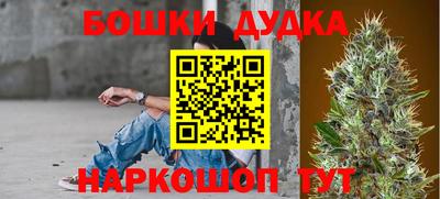 шишки Керчь