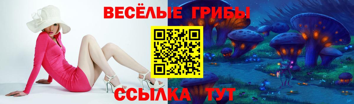 Галлюциногенные грибы Cubensis  Вход с VPN  Урюпинск 